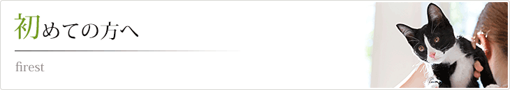 初めての方へ
