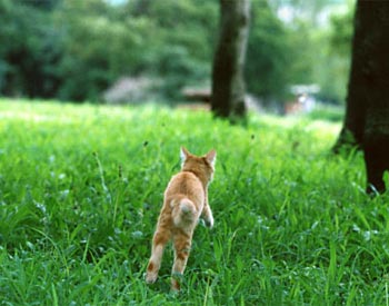 多くの病気の原因は食べ物にあり