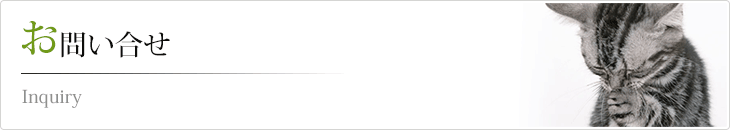 お問合せ
