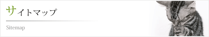 サイトマップ