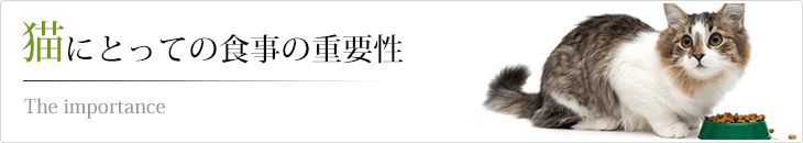 猫にとっての食事の重要性