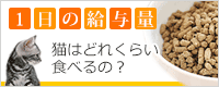 猫の1日の給与量